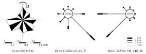 HOA GIÓ TRONG BẢN VẼ KIẾN TRÚC - Neo Classic